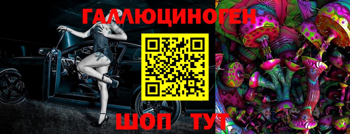 Псилоцибиновые грибы Psilocybe  Вход с VPN  Белорецк 
